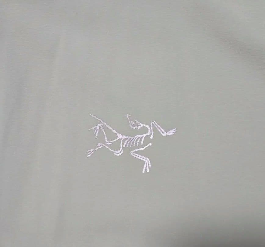 ARC’TERYX Incendo Hoodie メンズ（サイズ L)