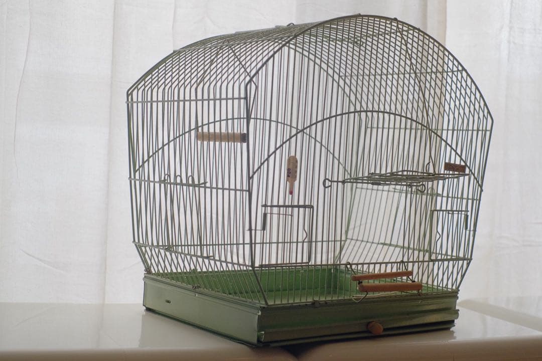 アンティーク　鳥かご　バードケージ　kinsen ビンテージ　文鳥　小鳥　琴線