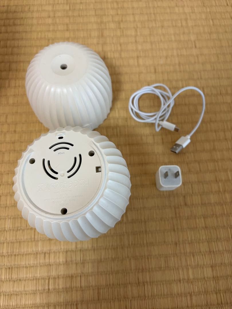 ヤングリビング　カクタス　アロマディフューザー