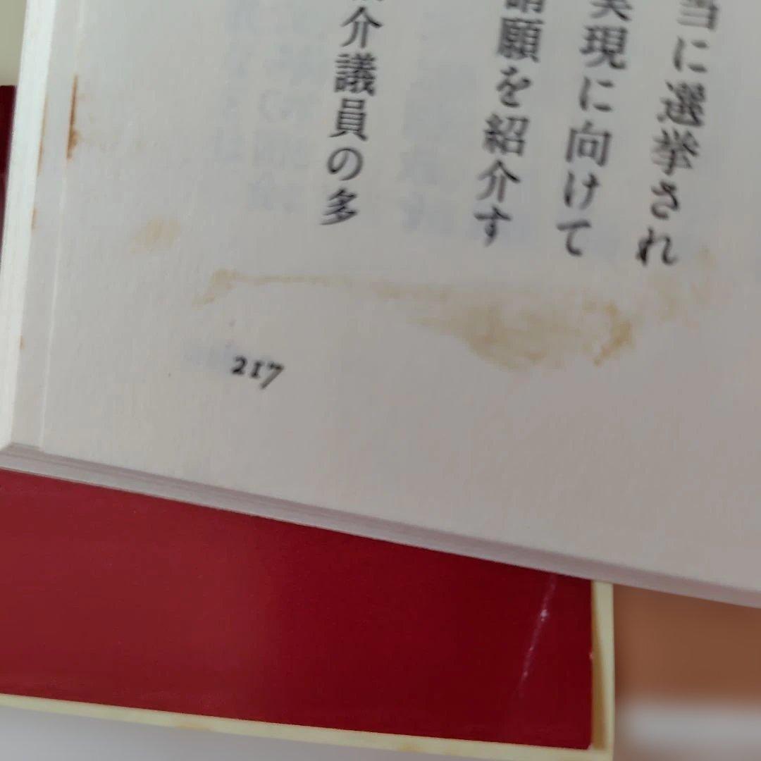 高市早苗のぶっとび永田町日記