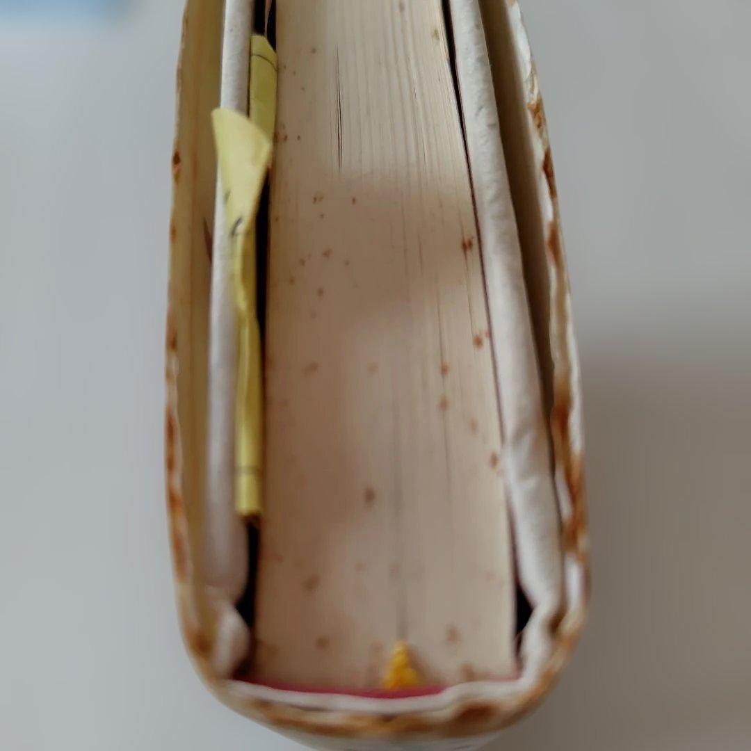 高市早苗のぶっとび永田町日記