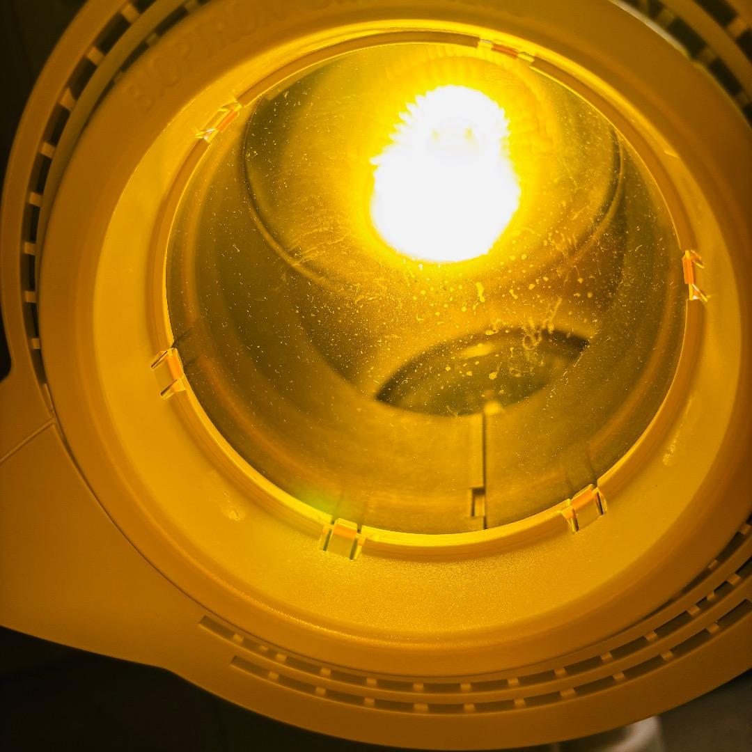 バイオプトロンプロ1 bioptron Pro1　美顔器 2023年購入品