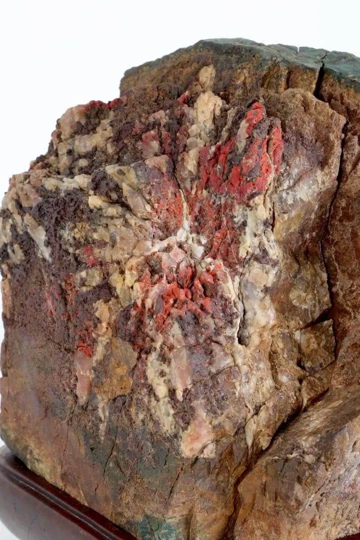 天覧 天然菊花石 大輪 6.5kg 台座付 鑑賞石 盆石 水石 自然石 美石