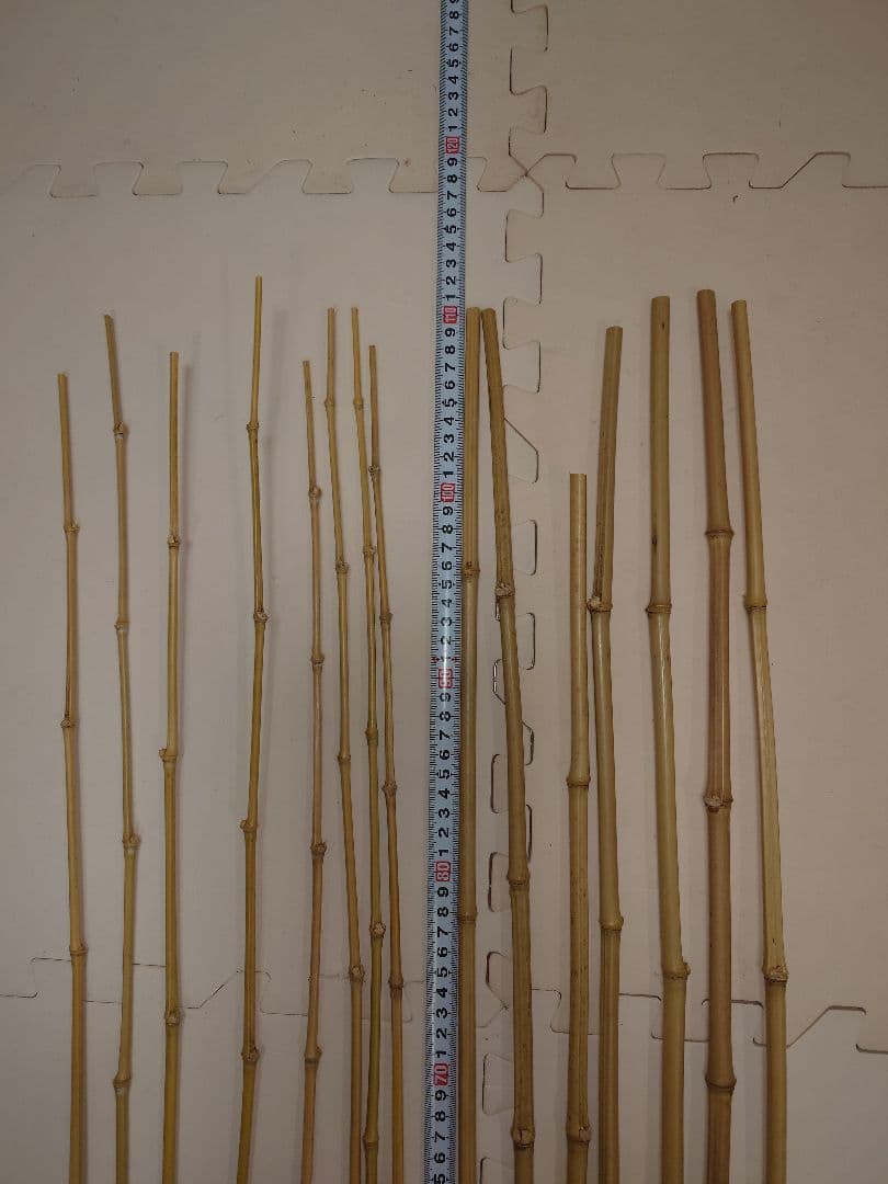 gogo　様　確認ページ❗