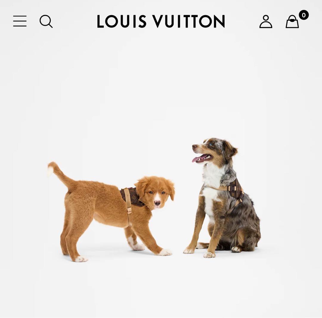 LOUIS VUITTON ハーネス MM GI1222