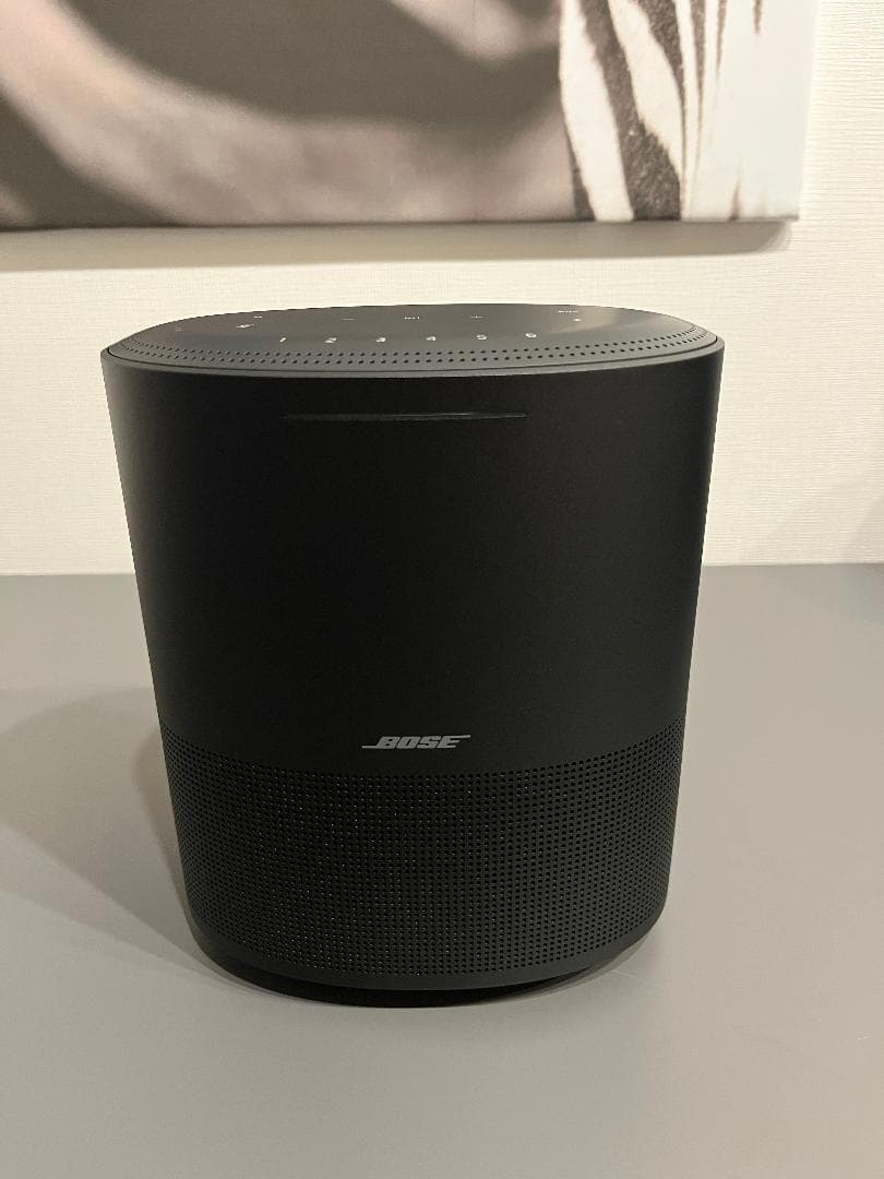 BOSE ボーズ  SPEAKER 450 ホームスピーカー