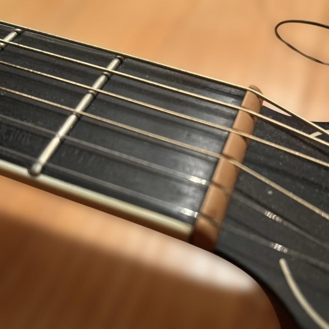 ギター larrivee LV-05