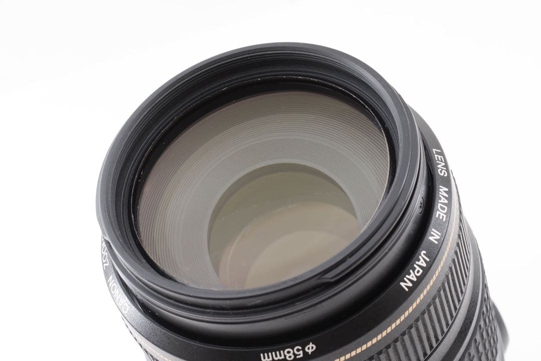 動作品/キャノン/Canon EF 75-300㎜F4-5.6 IS USM