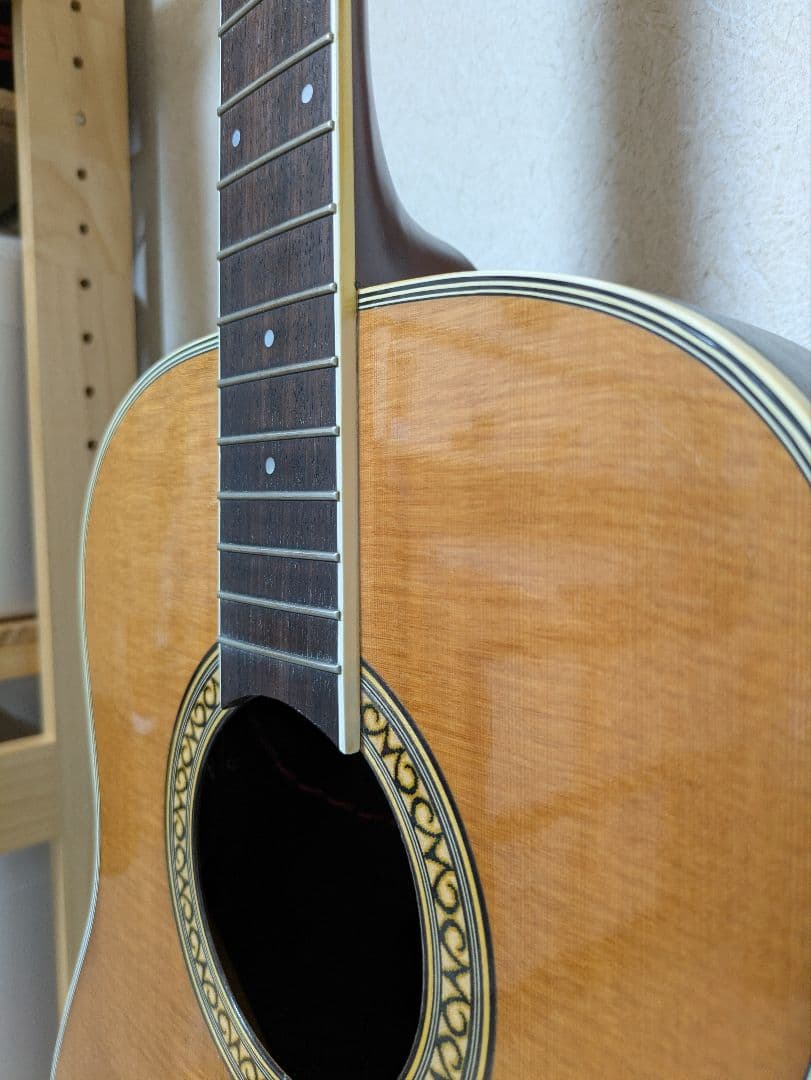 Morris Tornado gdx エレアコースティックギター(日本製)