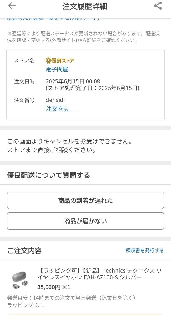 イヤホン T