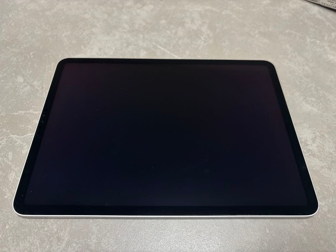 Apple iPad Pro 11 第2世代　256GB Wi-Fi