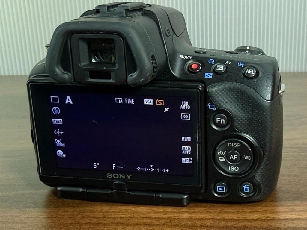 【シャッター数12,988回】SONY α55 ＋ズーム・単焦点レンズ2本セット