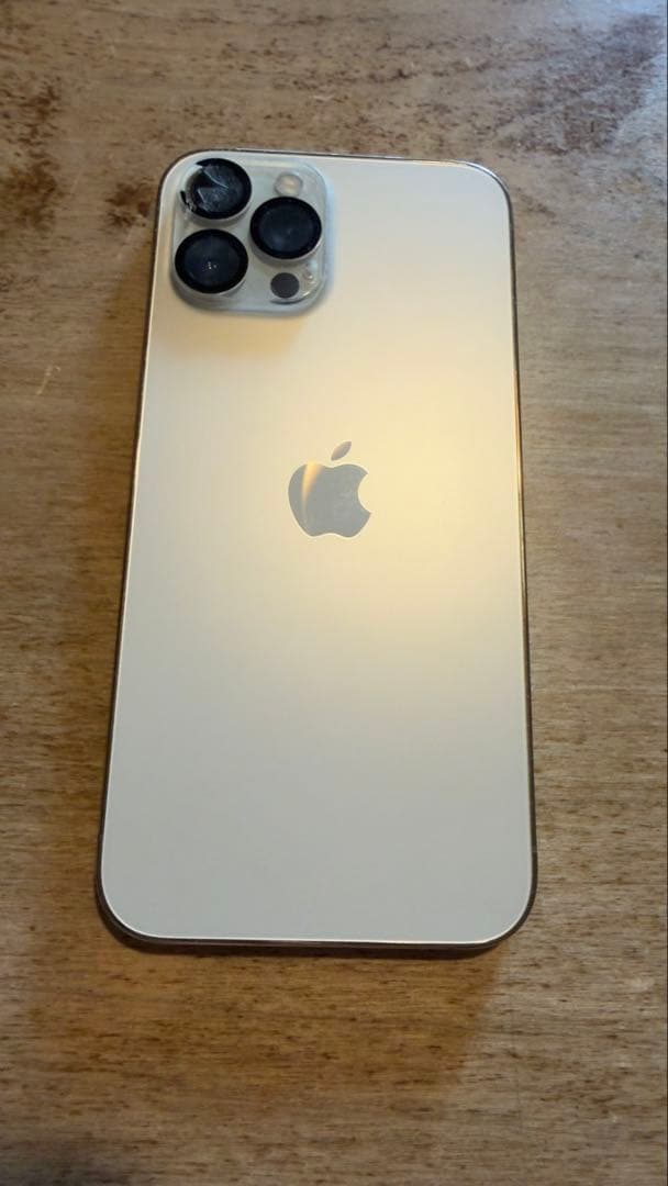 iPhone 12 pro max 即日発送のネコさん専用