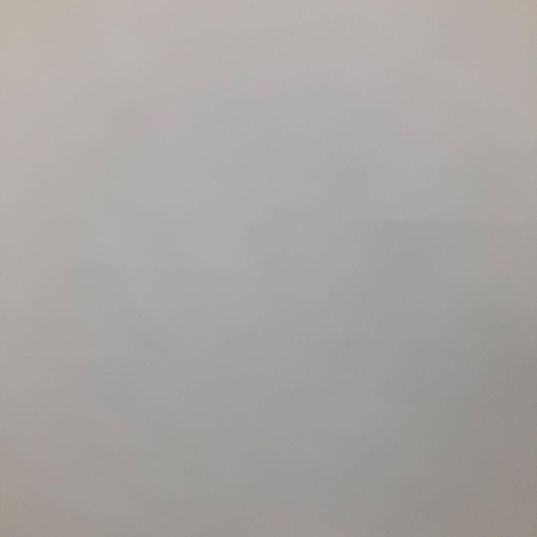 【美品】Grandview GML-100W キクチ研究所　100インチ