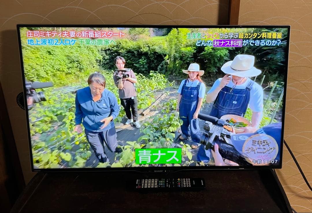 Sharp液晶カラーテレビLC-40U30 2016年