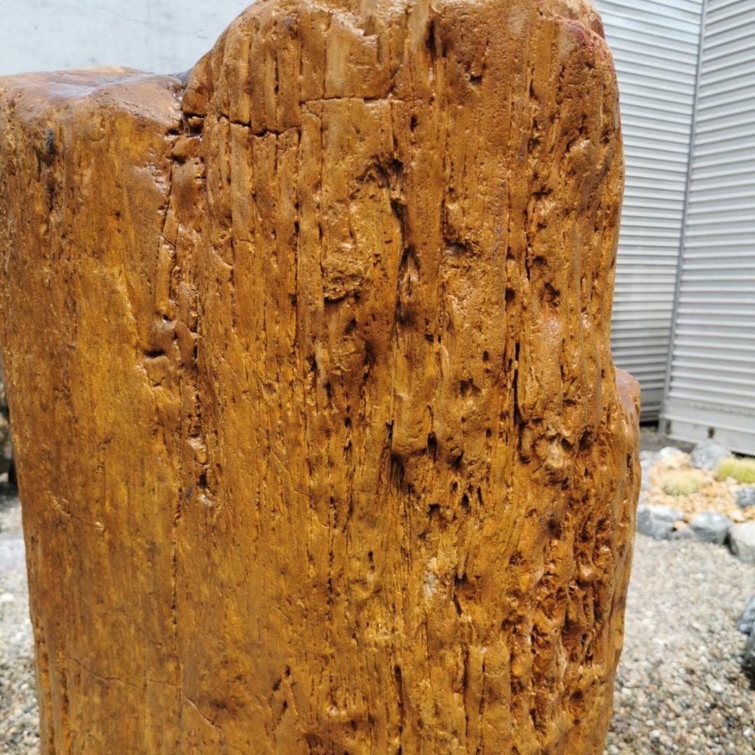 インドネシア産　珪化木　297キロ　木化石　庭石　石　鑑賞石　置物　オブジェ