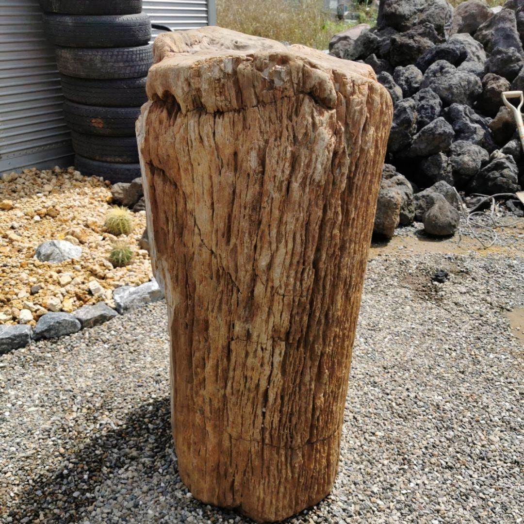 インドネシア産　珪化木　297キロ　木化石　庭石　石　鑑賞石　置物　オブジェ