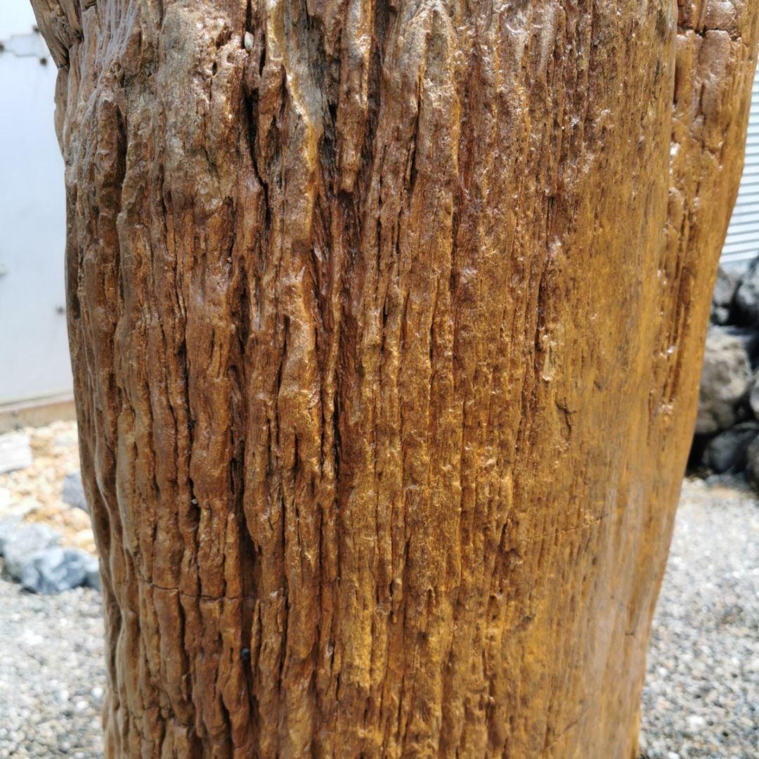 インドネシア産　珪化木　297キロ　木化石　庭石　石　鑑賞石　置物　オブジェ