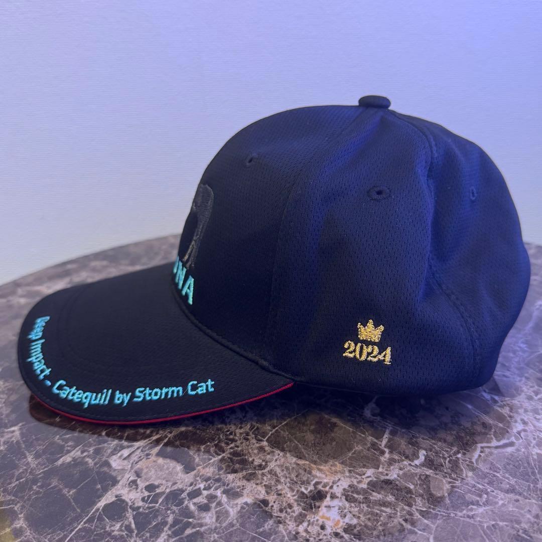 み*ん様 KIZUNA 2024 ネイビーキャップ