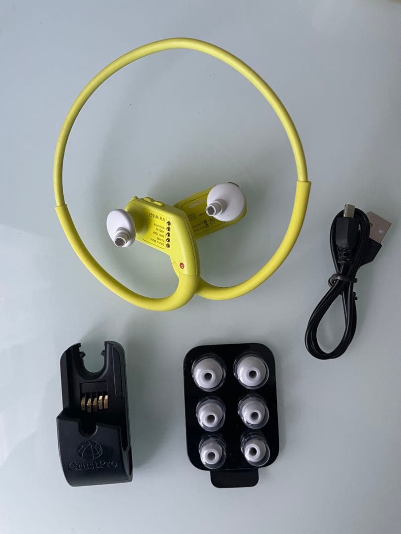 ソニー ヘッドホン一体型ウォークマン Wシリーズ NW-WS623 本体