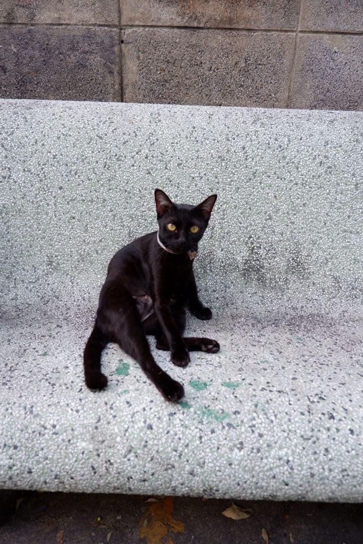 【最終値下げ】フジフィルム ミラーレス一眼 X-A5