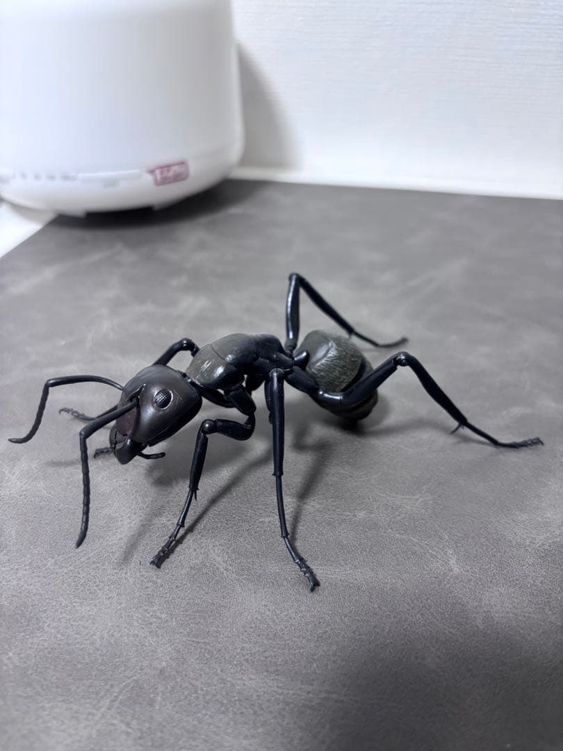 【プレミアムバンダイ限定】蝶々フィギュアセット ＋ 昆虫ボーナス付き