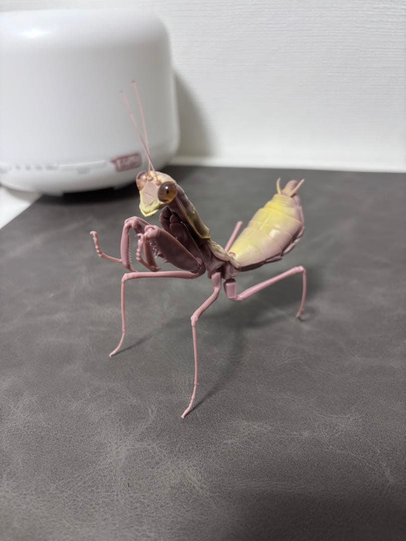 【プレミアムバンダイ限定】蝶々フィギュアセット ＋ 昆虫ボーナス付き