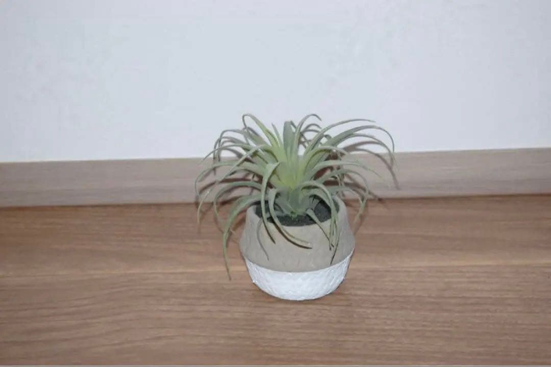 ✨美品✨Nikon D40 レンズセット 初心者向け スマホ転送 すぐに使える