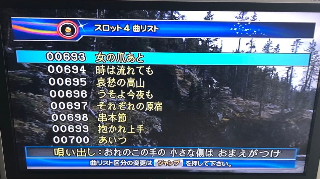 【400曲】オンステージ カラオケ 追加曲チップ 200曲×2枚
