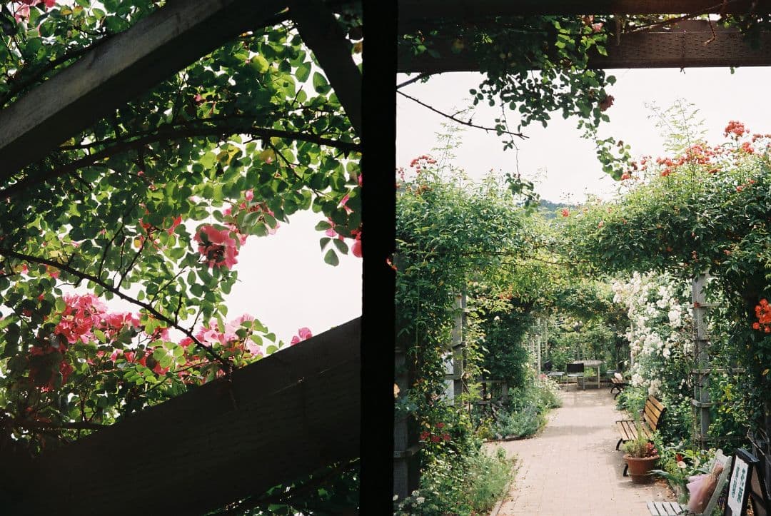 KONICA　EYE2（整備品）