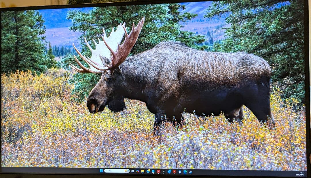 JAPANNEXT 27インチWQHD 液晶モニターJN-IPS272WQHDR