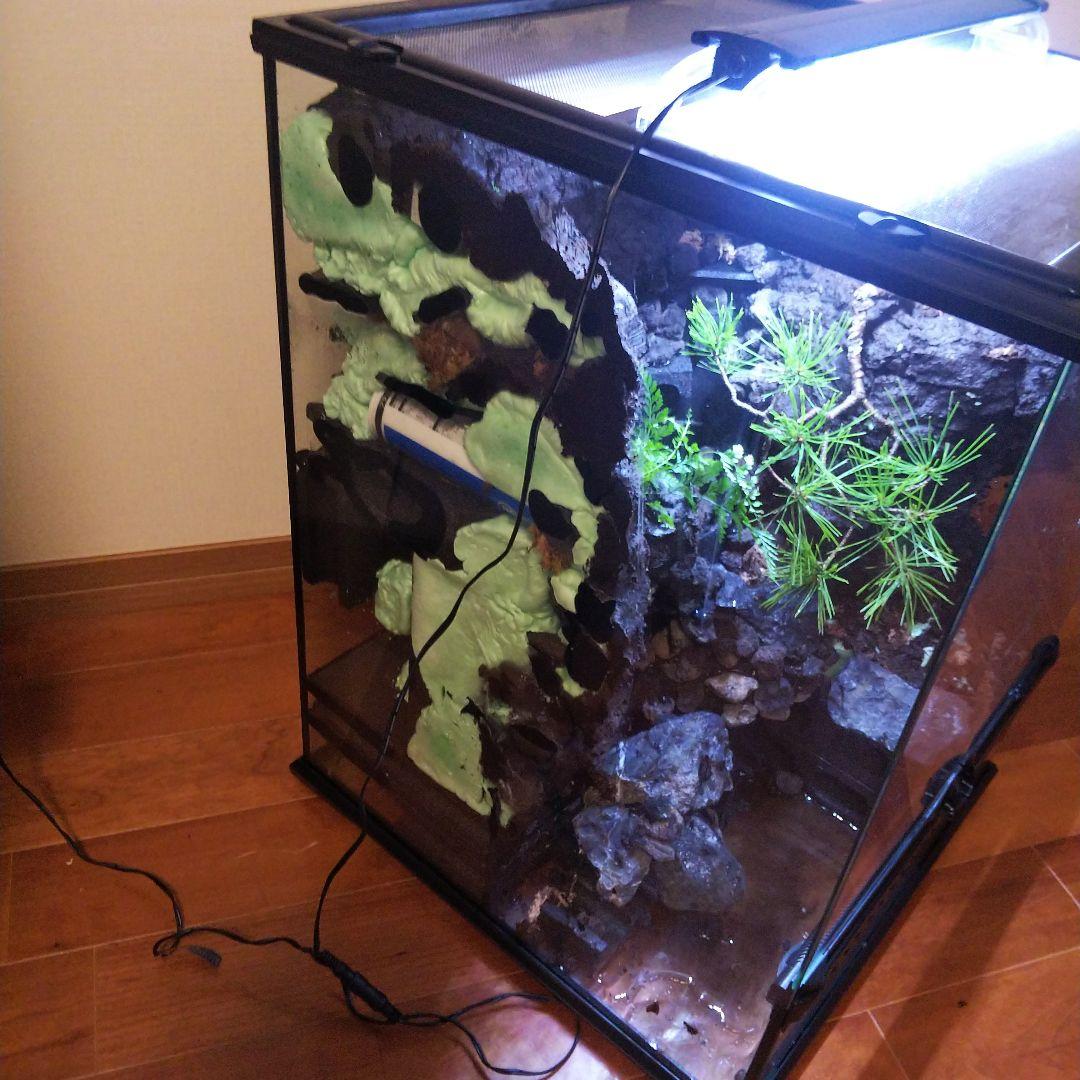 滝のあるアクアテラリウム完成品