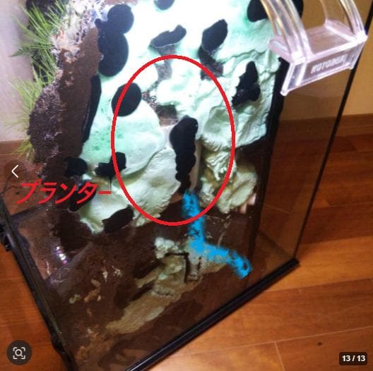 滝のあるアクアテラリウム完成品