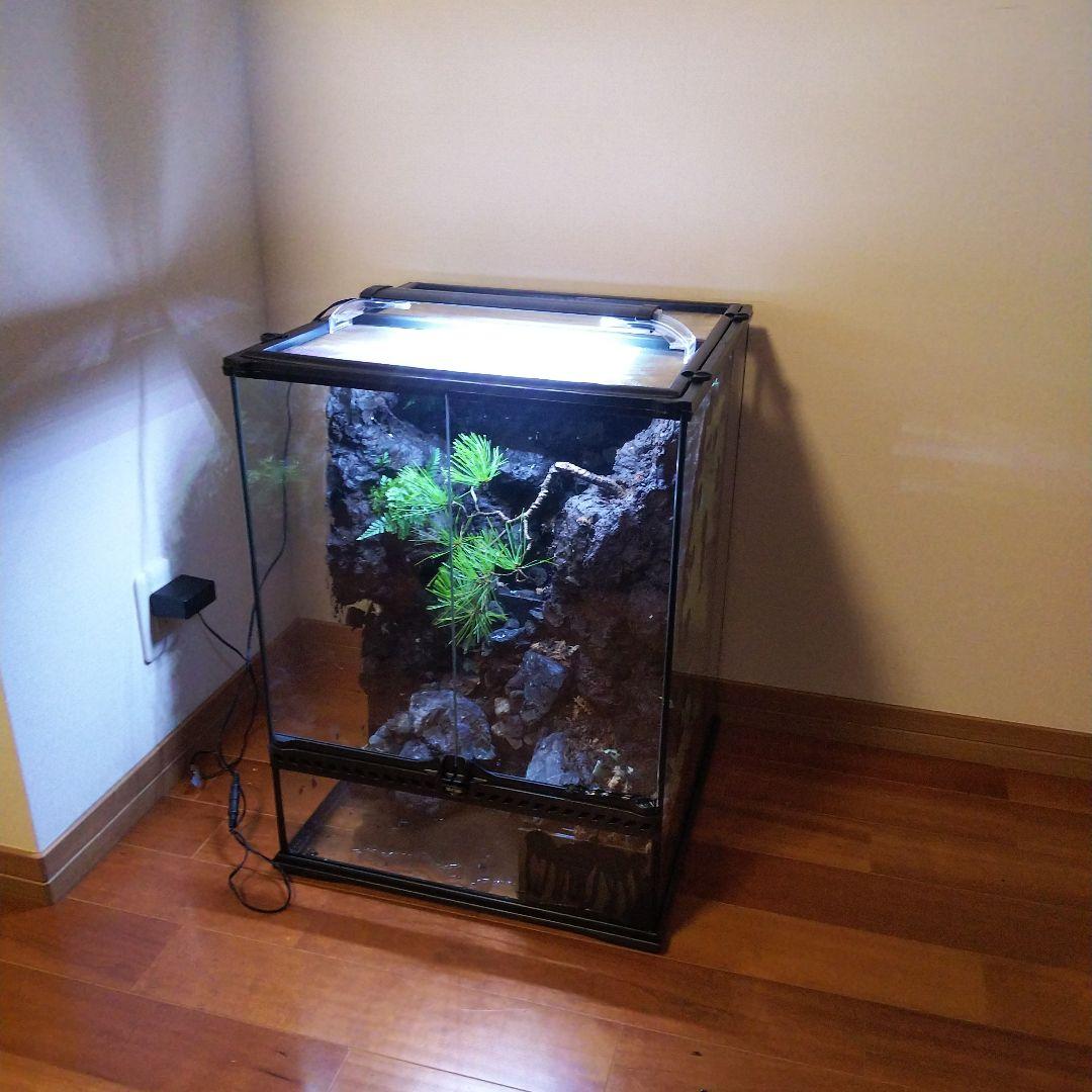 滝のあるアクアテラリウム完成品