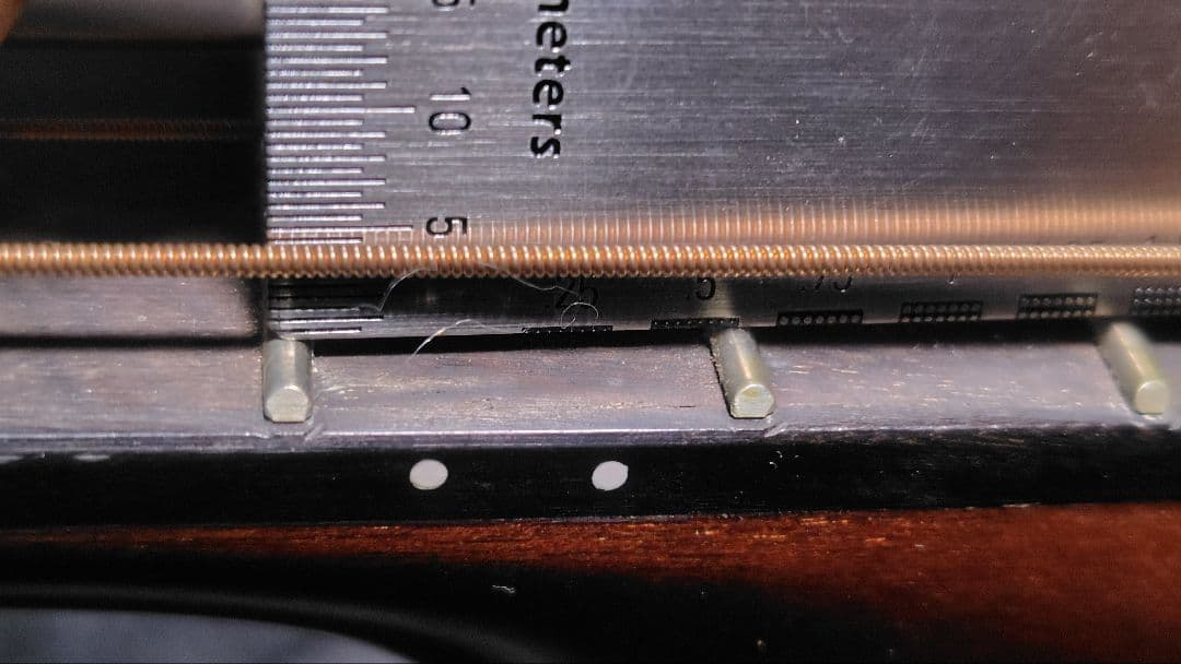 ギター LUNA GUITARS VISTA EAGLE