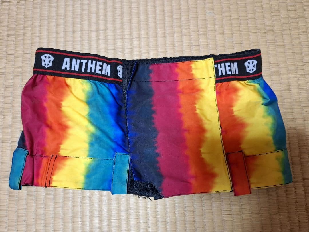 TECHNINE ウェア　上下、ANTHEM　パウダーガードセット