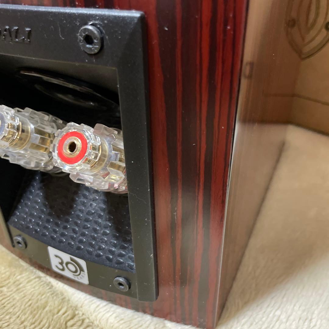 DALI MENUET SE（スペシャルエディション） 30周年記念　スピーカー