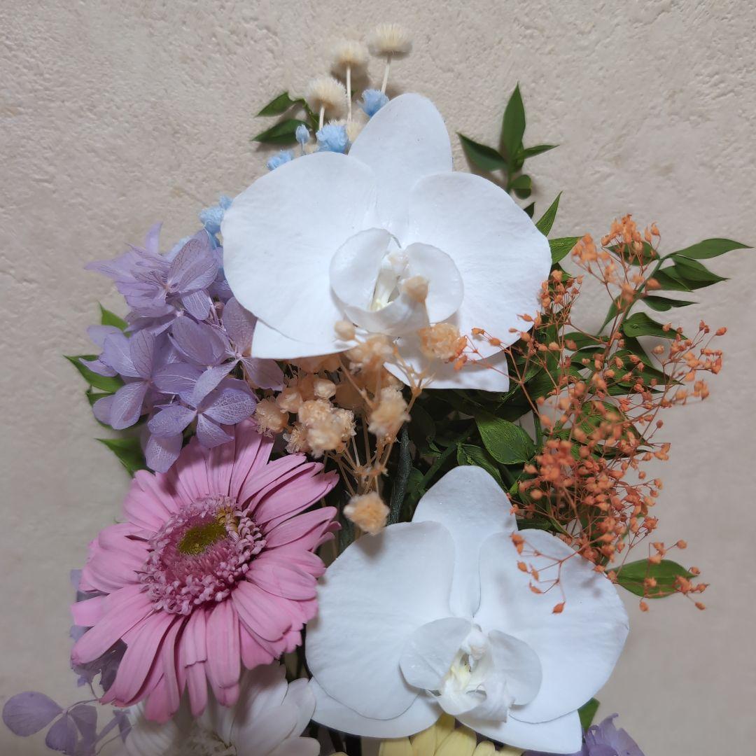 特選仏花　 胡蝶蘭　ガーベラ 花器無し　造花無し　 大一基 プリザーブドフラワー
