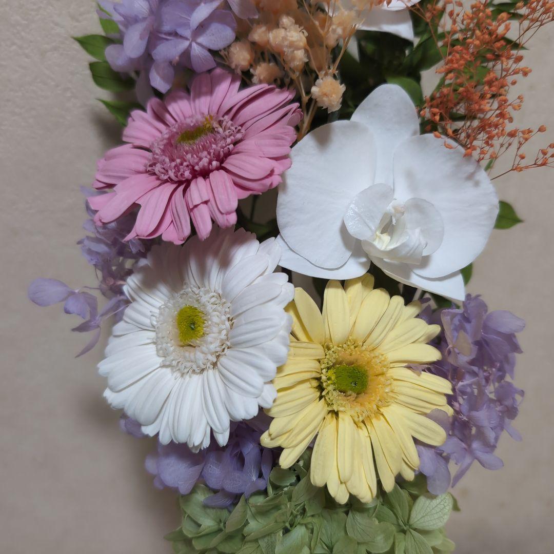 特選仏花　 胡蝶蘭　ガーベラ 花器無し　造花無し　 大一基 プリザーブドフラワー
