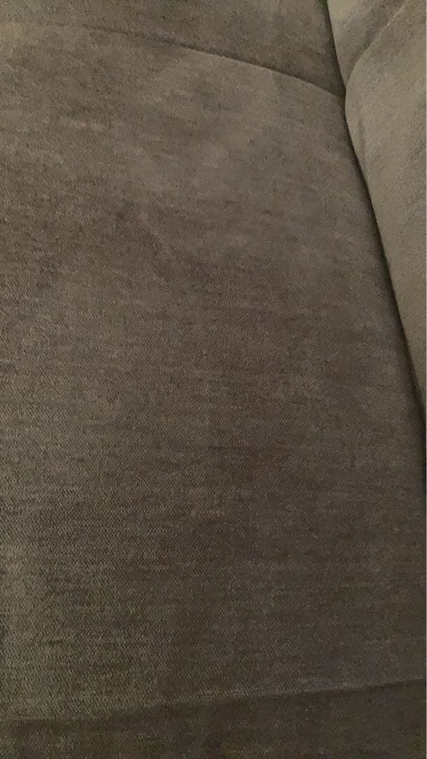 値下げ‼️フランスベッド　送料込　ソファベッド　AG-アルマ