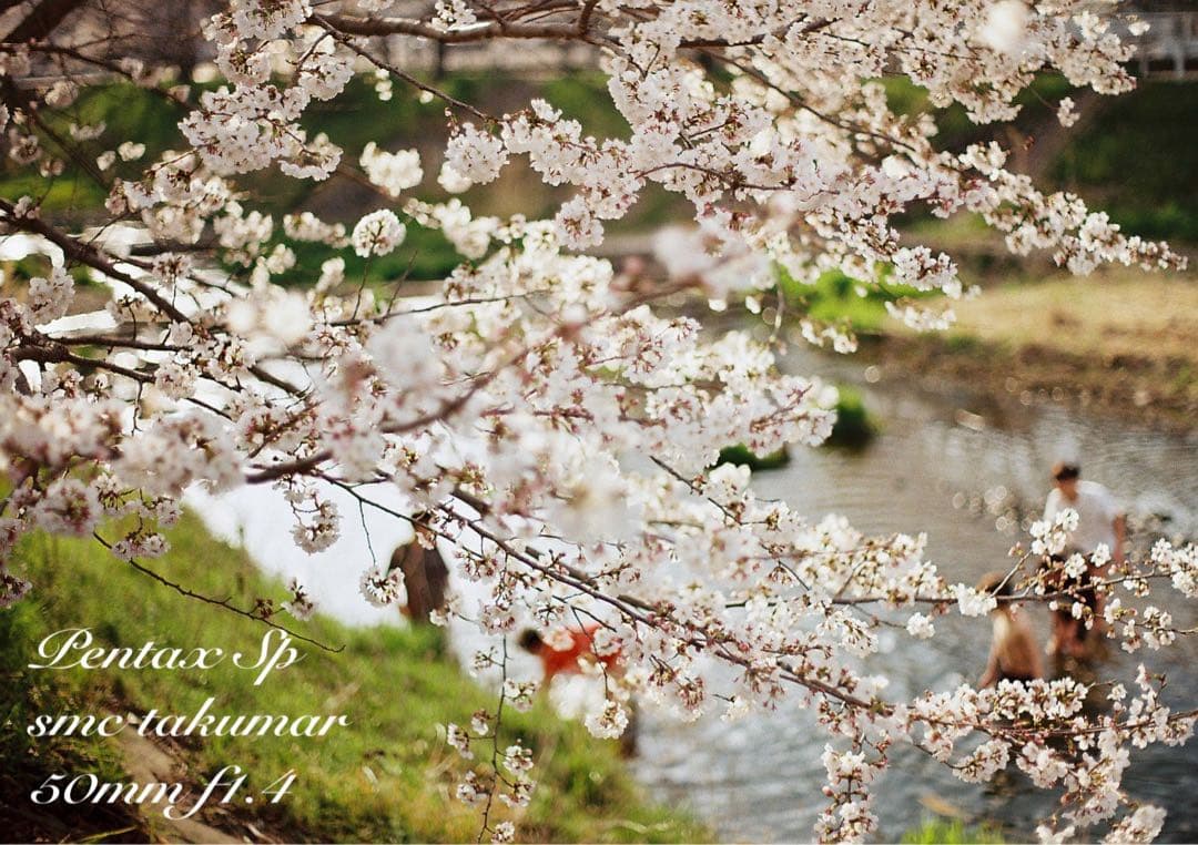 ★完動品＊美品★pentax sp★smc f1.4★初期保証＊作例必見