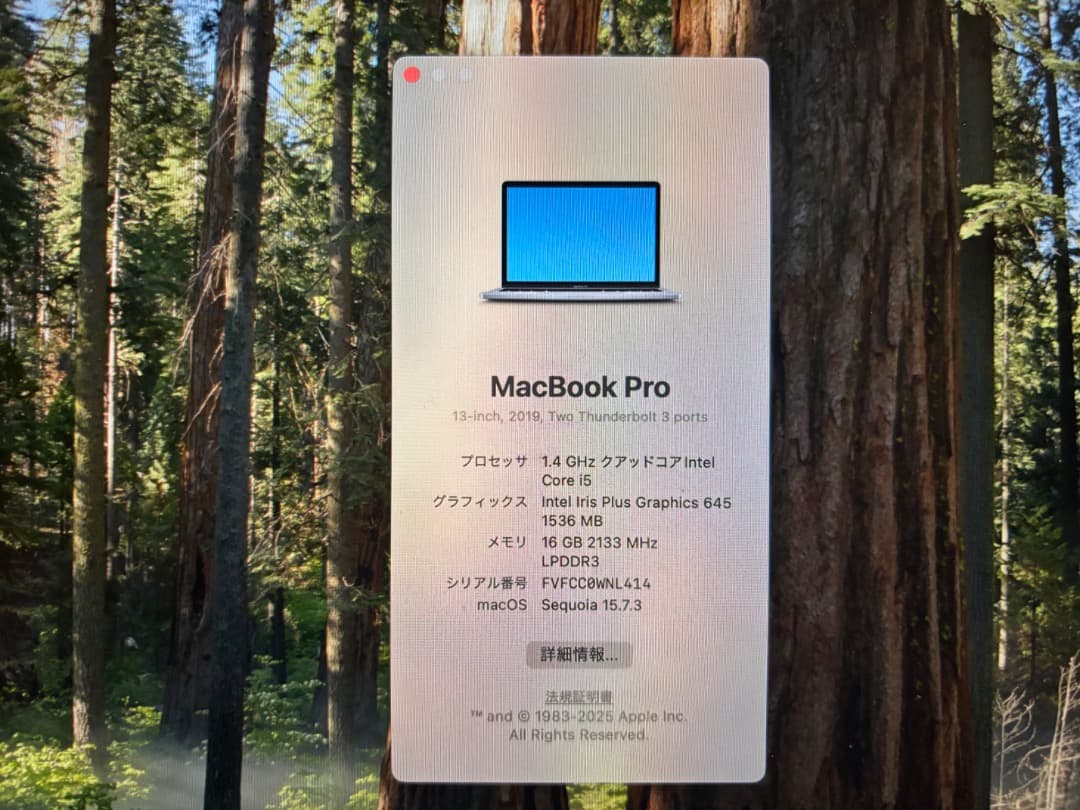 【送料無料】Macbook Pro 2019 13インチ USキーボード