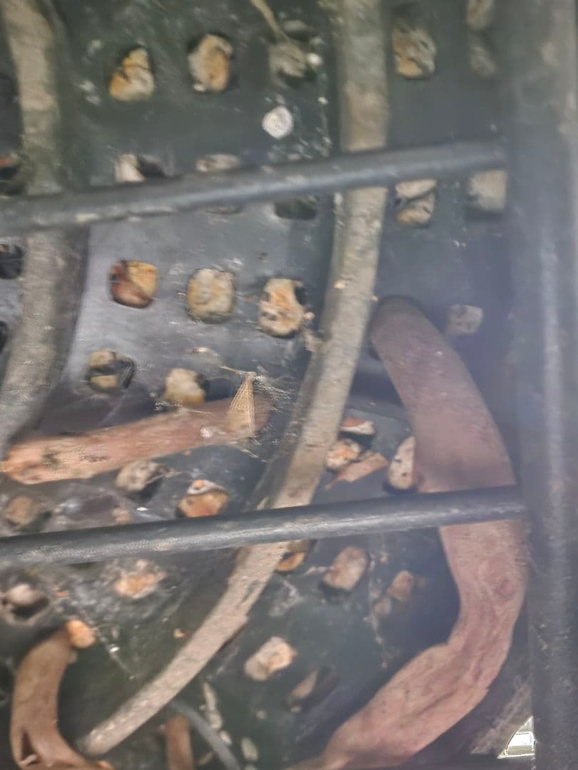 専用出品 特割 ユッカリギダ (あ)