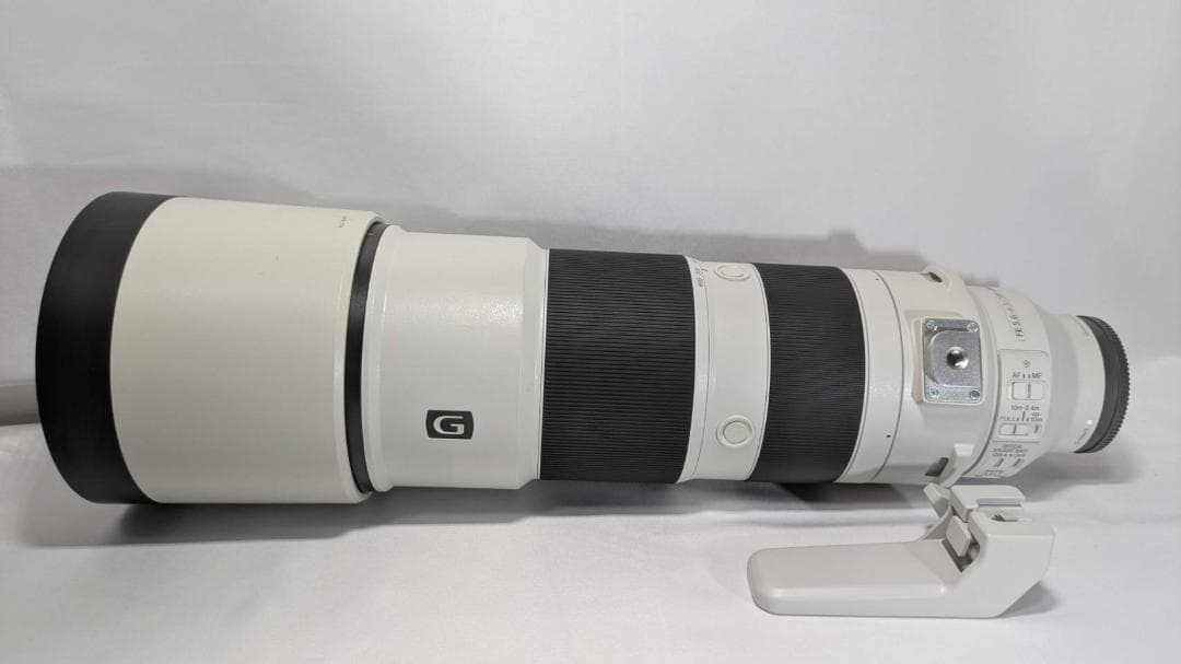 レンズ(ズーム) FE200-600mm F5.6-6.3 G OSS SEL200600G