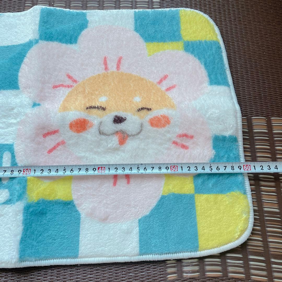 バスマット　お風呂マット　足マット　犬　かわいい　40×60cm