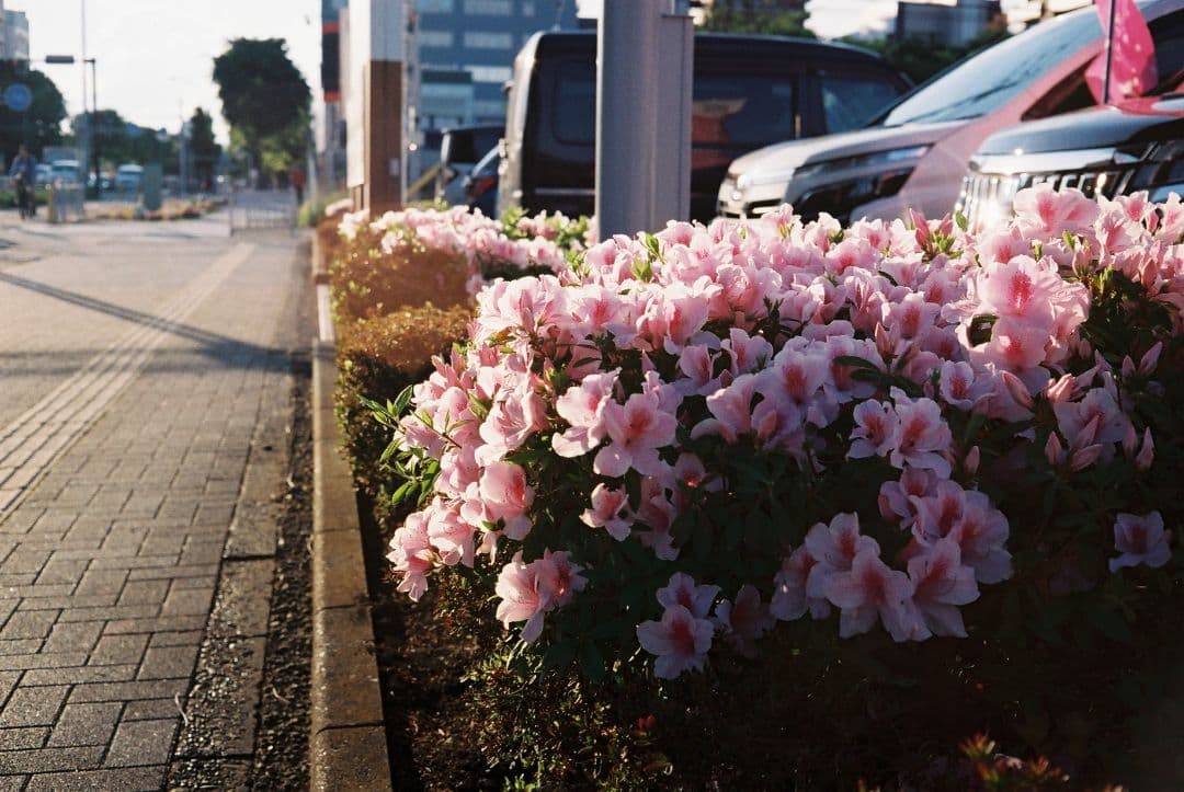 ヤシカエレクトロ35GL