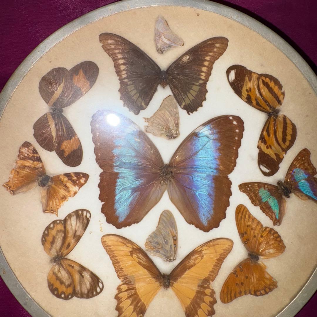 ︎✴︎Y2K ブラジル産 60年前 ブラジル牢人 OPIUM 平成 裏原 ✳︎⭐︎