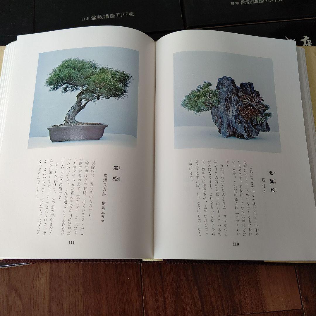 日本盆栽講座 全11巻
