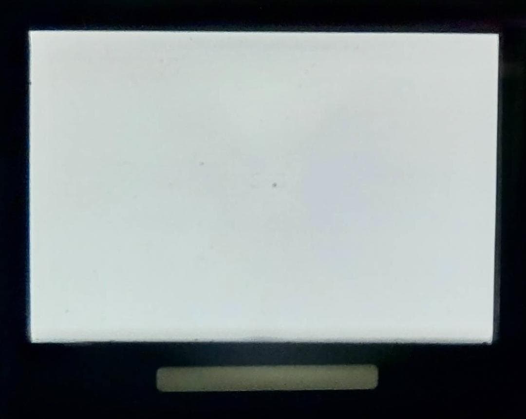 NIKON ニコン F4 フィルムカメラ モルト新品交換済 *6944