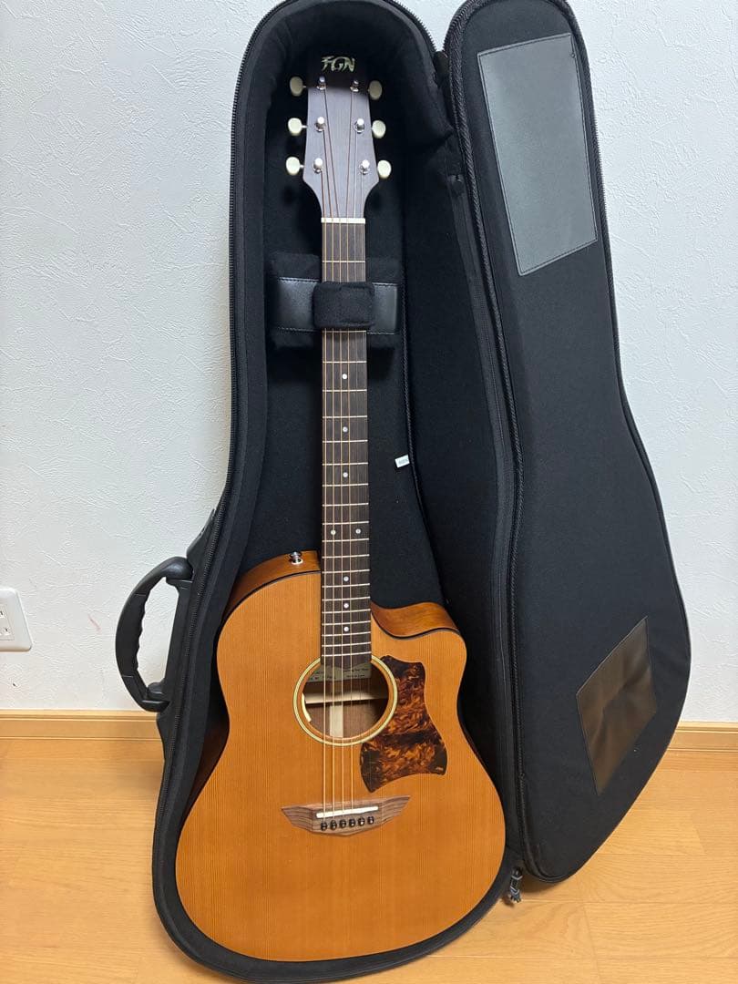 たけC　FGN AG1E